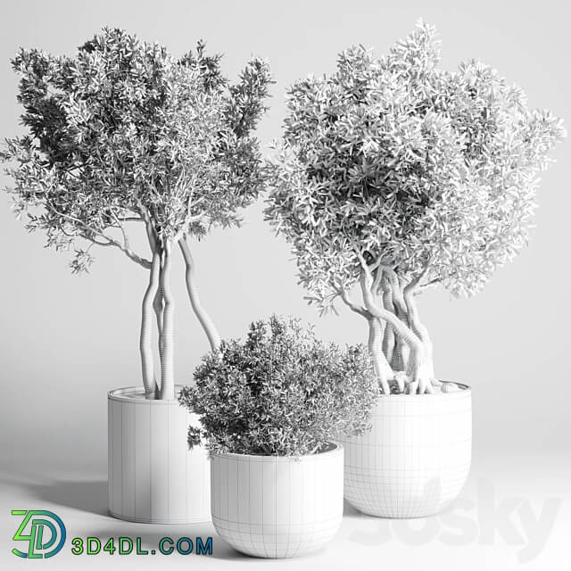 Collection Outdoor Indoor plant 77 concrete dirt vase pot tree bush 3D Models