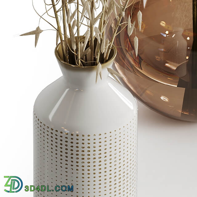 Dry plant set 02 3D Models
