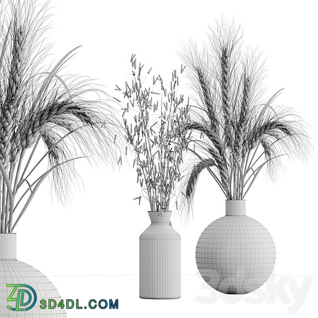 Dry plant set 02 3D Models