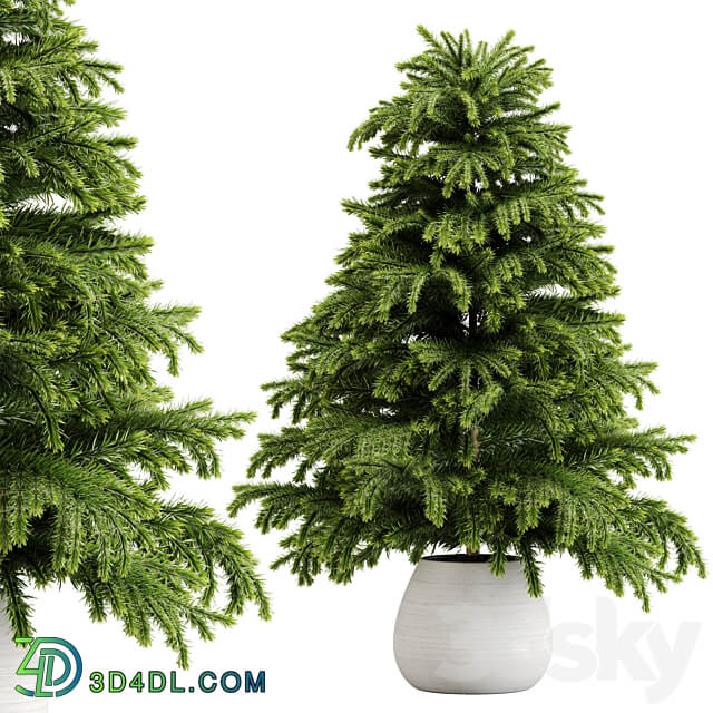 indoor plant Set 18 3D Models