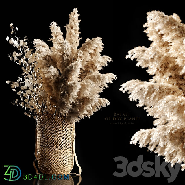 Basket of dry plants 3D Models