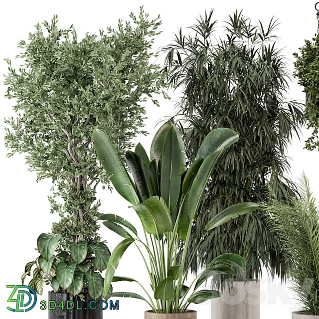 Indoor Plants in Ferm Living Bau Pot Large Set 474 3D Models