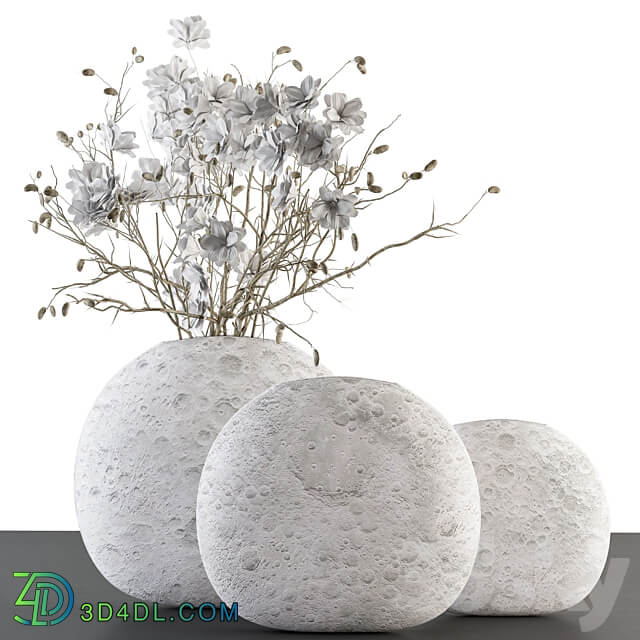 white Flower in Circular lunar vase 88 3D Models