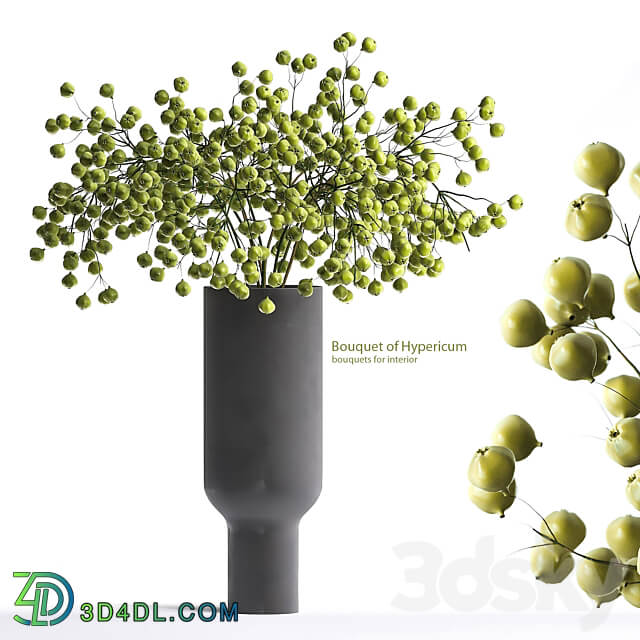 Hypericum bouquet 3D Models