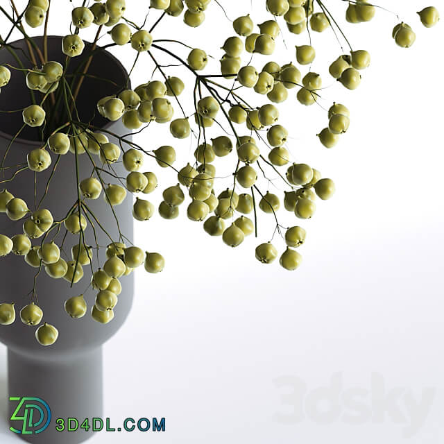 Hypericum bouquet 3D Models