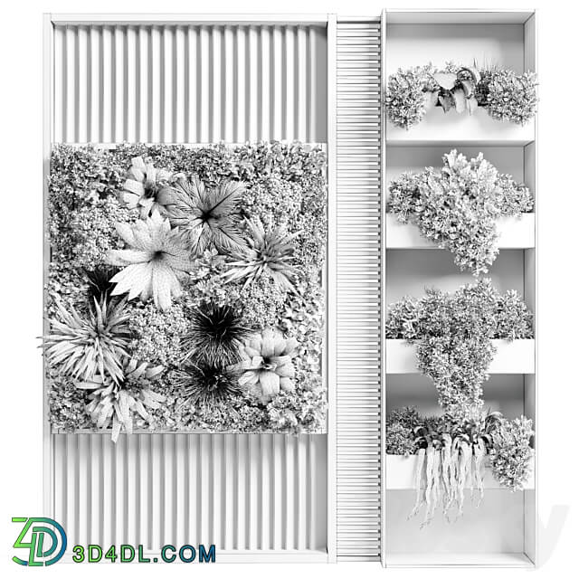 Vertical garden stand 15 wall decor with shelves for the library and closet or showcase corona Fitowall 3D Models