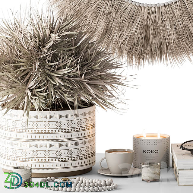 Decorative Set moon Thatch with Dried Plant Set 105 3D Models