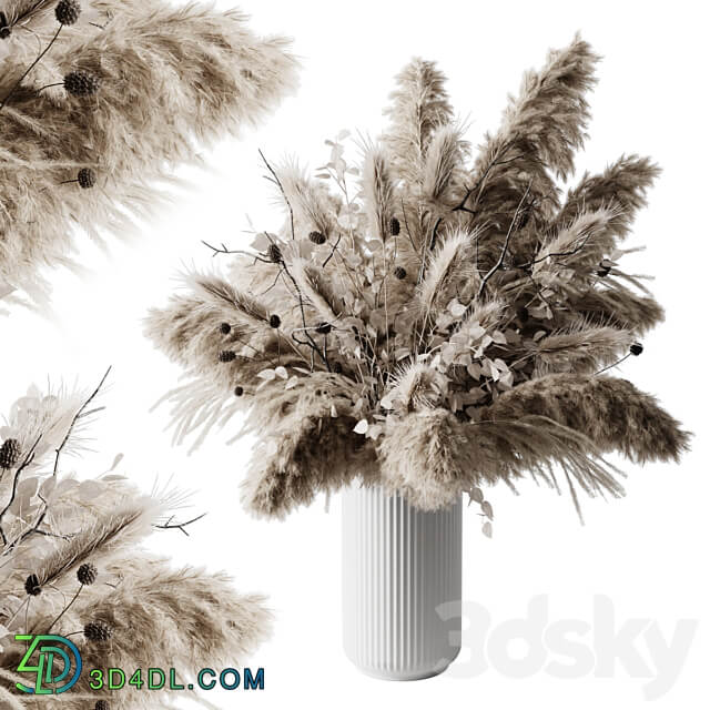 dry plants 3D Models