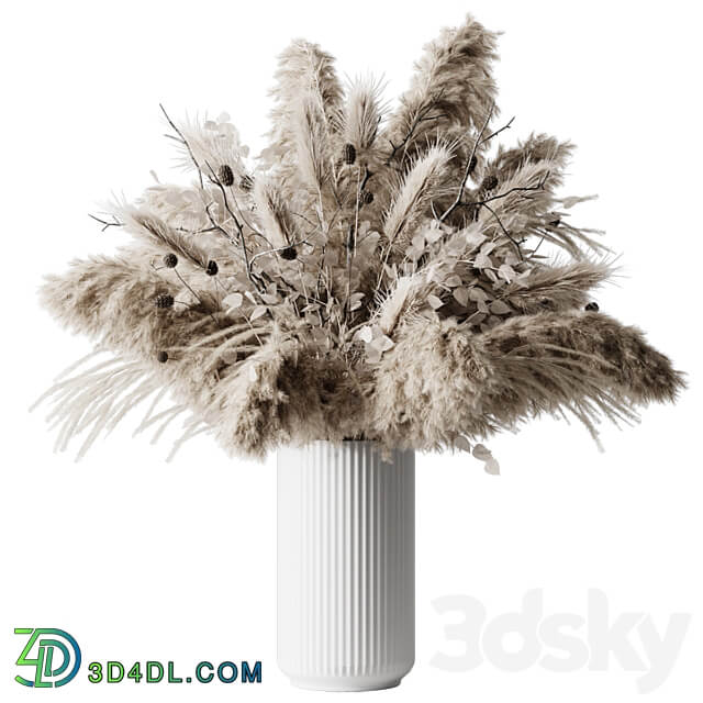 dry plants 3D Models