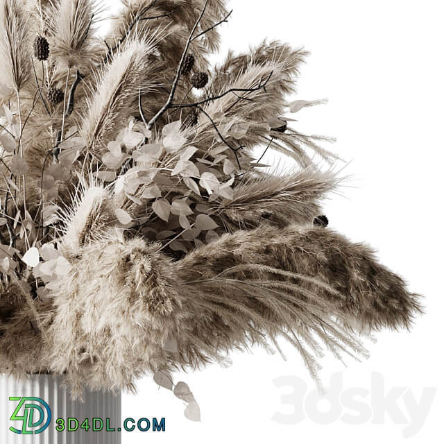 dry plants 3D Models