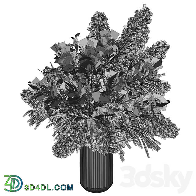 dry plants 3D Models