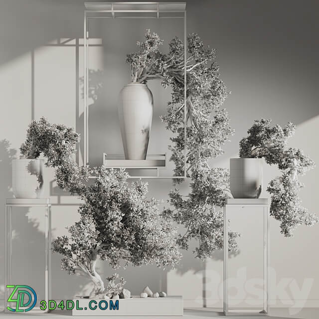 Bonsai And Indoor Plant Set 38 3D Models