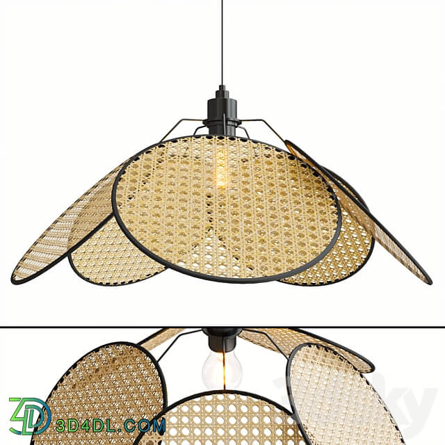 RAVDNA Pendant light 3D Models