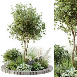 outdoor plant set 05 3D Models 