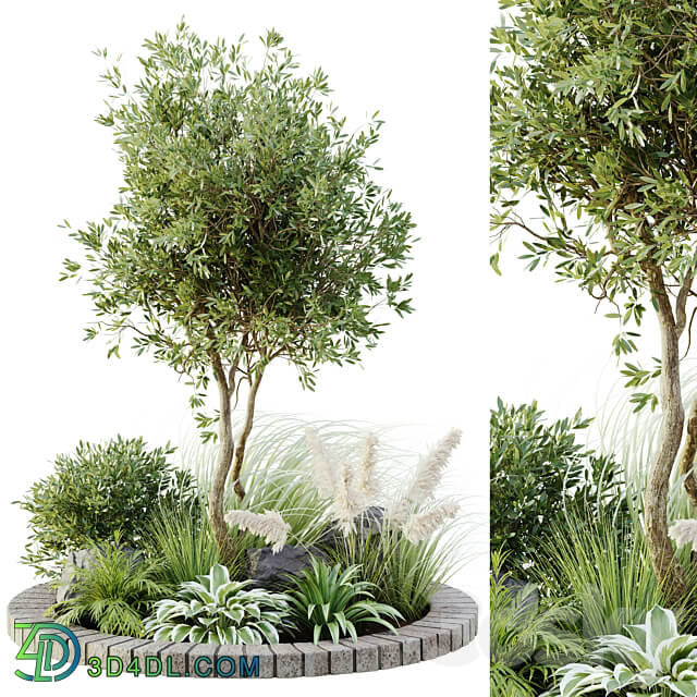 outdoor plant set 05 3D Models