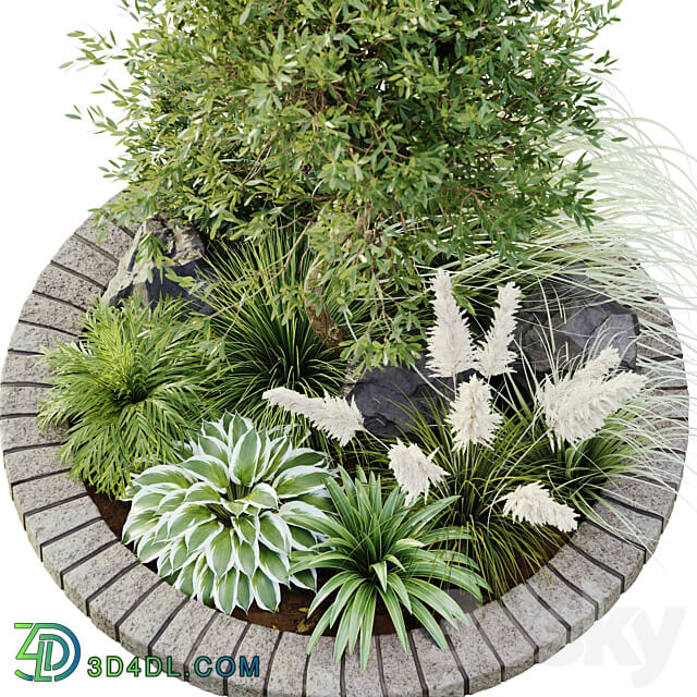 outdoor plant set 05 3D Models