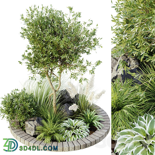 outdoor plant set 05 3D Models