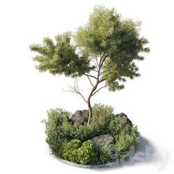 Collection outdoor indoor 81 pot plant tree bush fern the garden pot corona 3D Models 