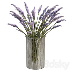 Bouquet of lavender 3D Models 