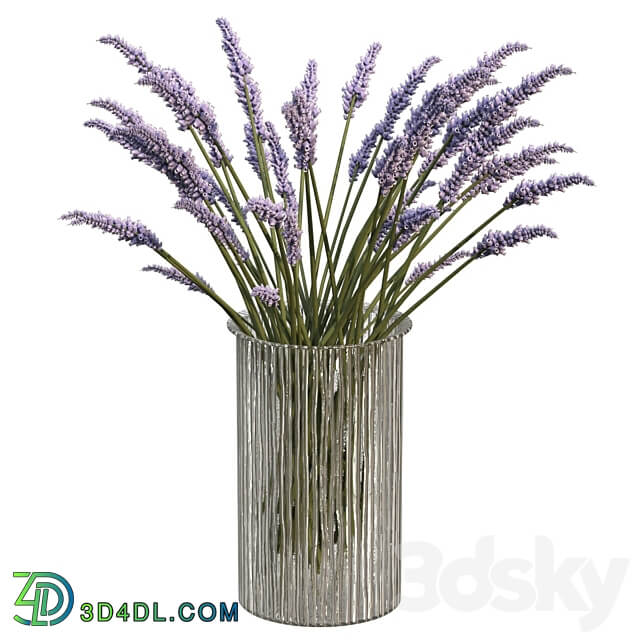 Bouquet of lavender 3D Models