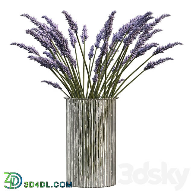 Bouquet of lavender 3D Models