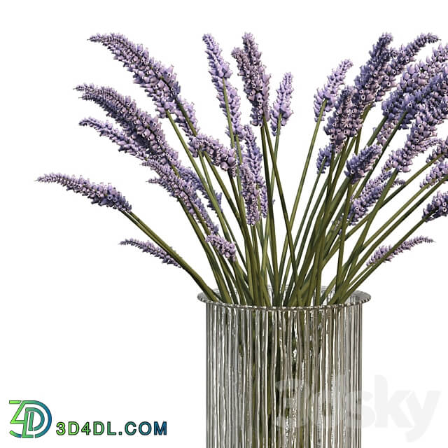 Bouquet of lavender 3D Models