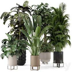Indoor Plants in Ferm Living Bau Pot Large Set 548 3D Models 