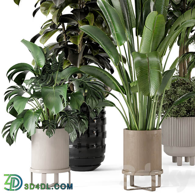 Indoor Plants in Ferm Living Bau Pot Large Set 548 3D Models
