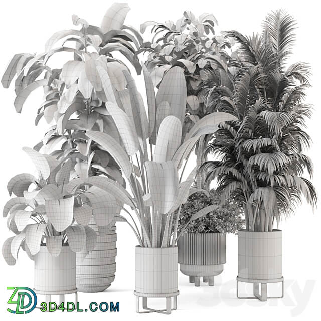 Indoor Plants in Ferm Living Bau Pot Large Set 548 3D Models