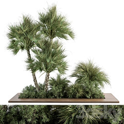Garden Set Tropical Plants Outdoor Plants Set 369 3D Models 