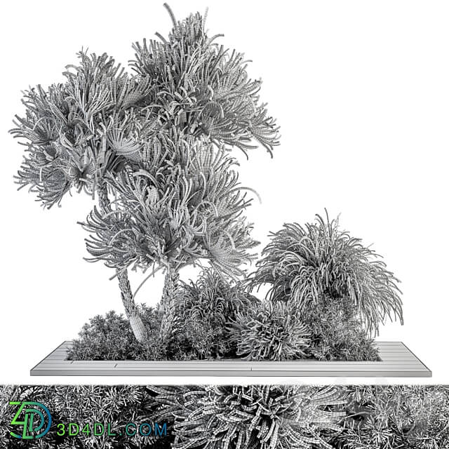 Garden Set Tropical Plants Outdoor Plants Set 369 3D Models