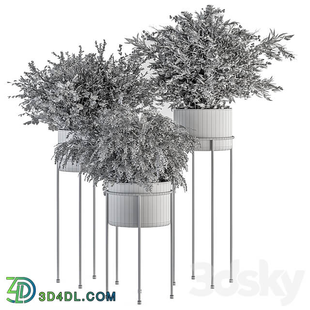 indoor Plant Set 371 Bush and Plant Set in Black stand 3D Models