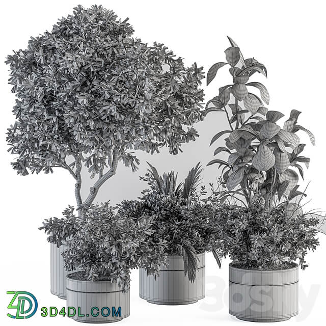 indoor Plant Set 373 Tree and Plant Set in pot 3D Models