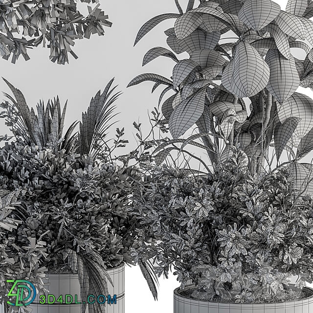 indoor Plant Set 373 Tree and Plant Set in pot 3D Models