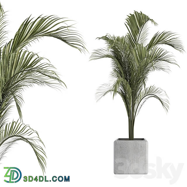 OutDoor Plant No 2 3D Models