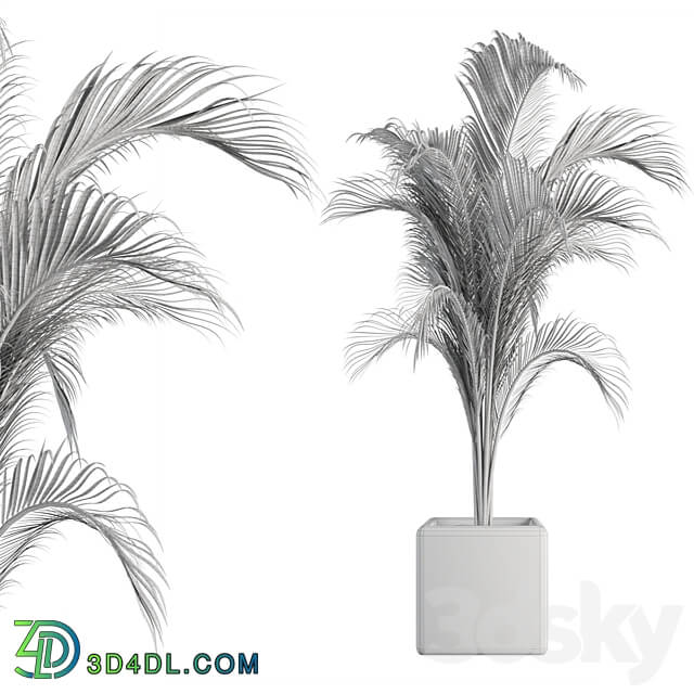 OutDoor Plant No 2 3D Models