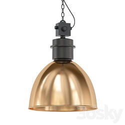 Ford Pendant light 3D Models 