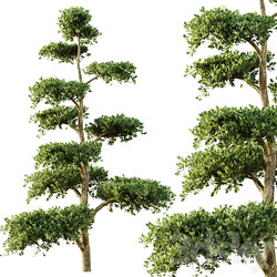 tree set 04 3D Models 