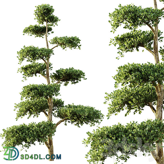 tree set 04 3D Models