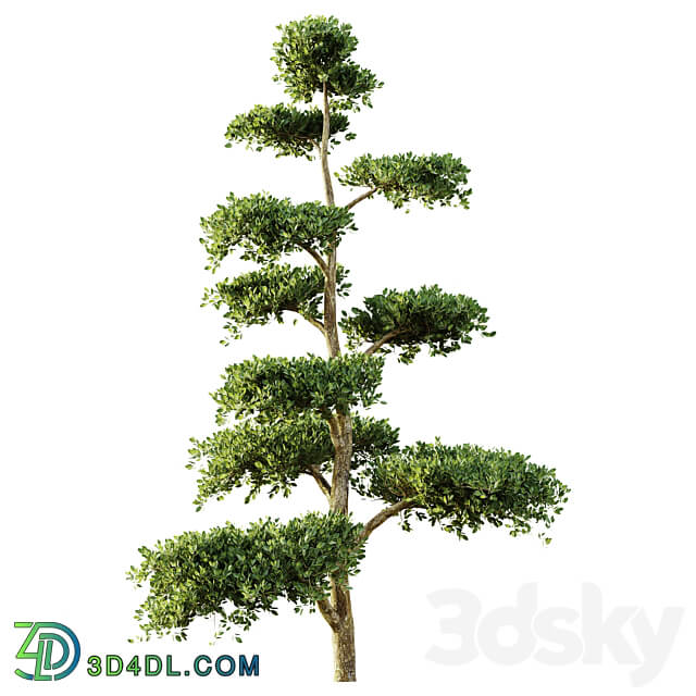 tree set 04 3D Models