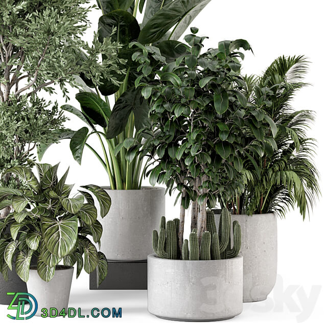 Indoor Plants in rusty Concrete Pot Set 584 3D Models