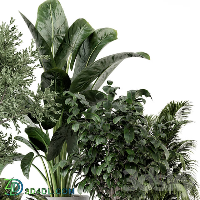 Indoor Plants in rusty Concrete Pot Set 584 3D Models