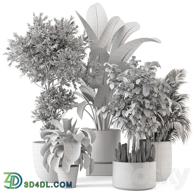 Indoor Plants in rusty Concrete Pot Set 584 3D Models