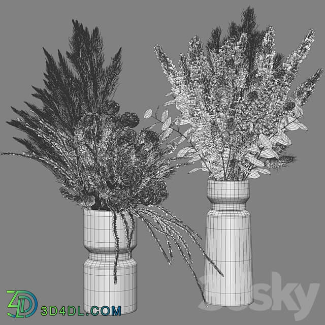 Flower Set 025 Pampas 3D Models