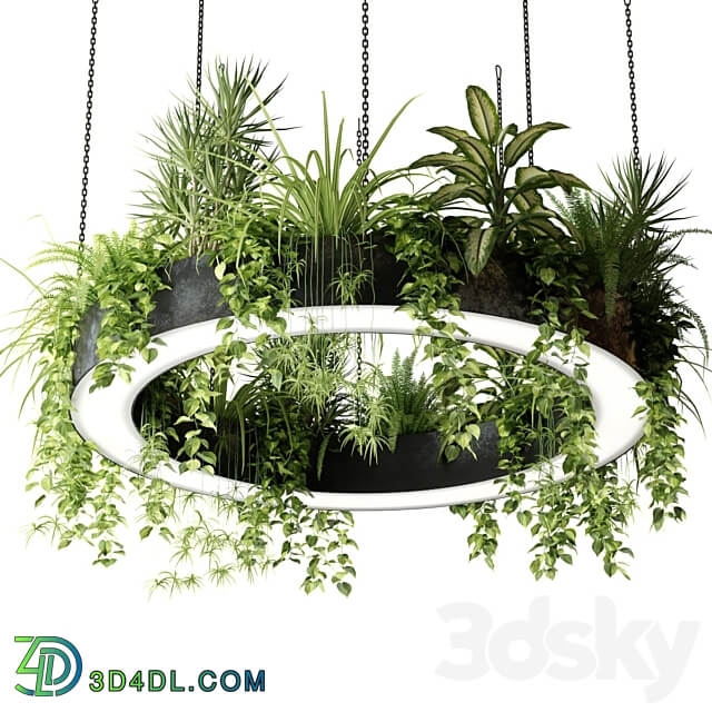 Ring lamp planter with plants Pendant light 3D Models