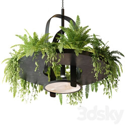 Hanging lamp with plants Pendant light 3D Models 