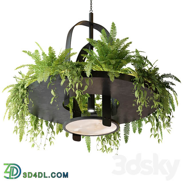 Hanging lamp with plants Pendant light 3D Models