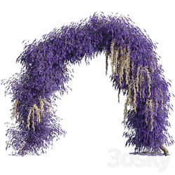 Arch of lavender flowers Fitowall 3D Models 