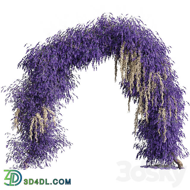 Arch of lavender flowers Fitowall 3D Models