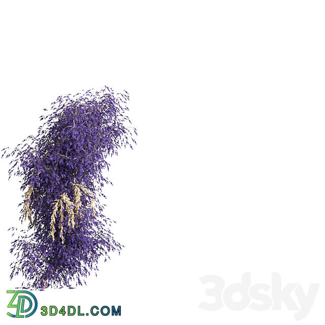 Arch of lavender flowers Fitowall 3D Models